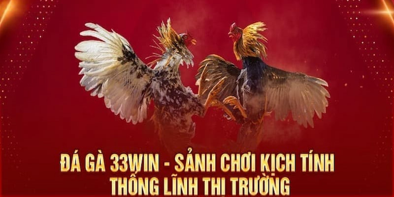 Đá gà 33WIN và mẹo chơi giúp ván cược kịch tính hơn