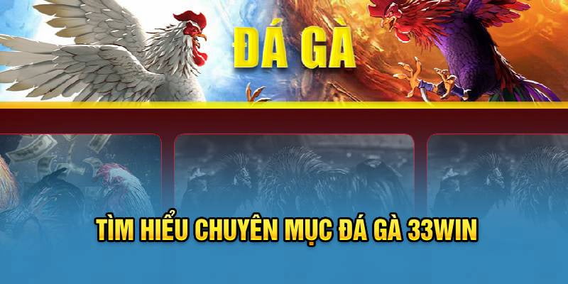 Đá gà tổng quan tại sảnh game 33WIN nổi tiếng