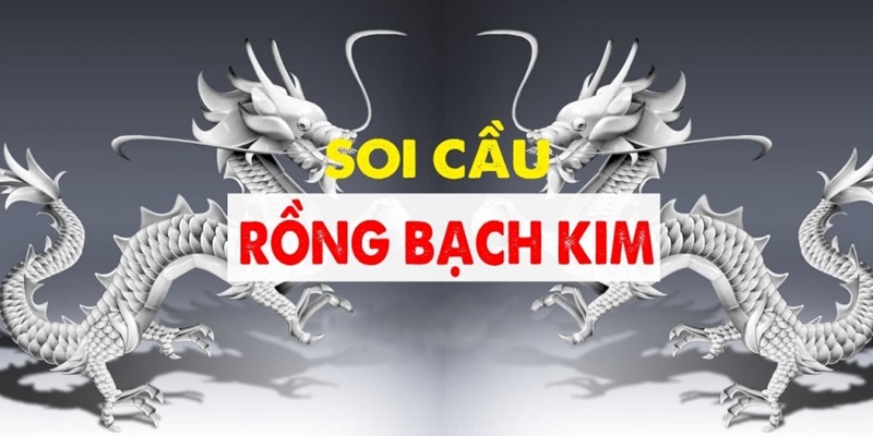 Thông tin tại trang Rongbachkim luôn đảm bảo chuẩn xác hoàn toàn